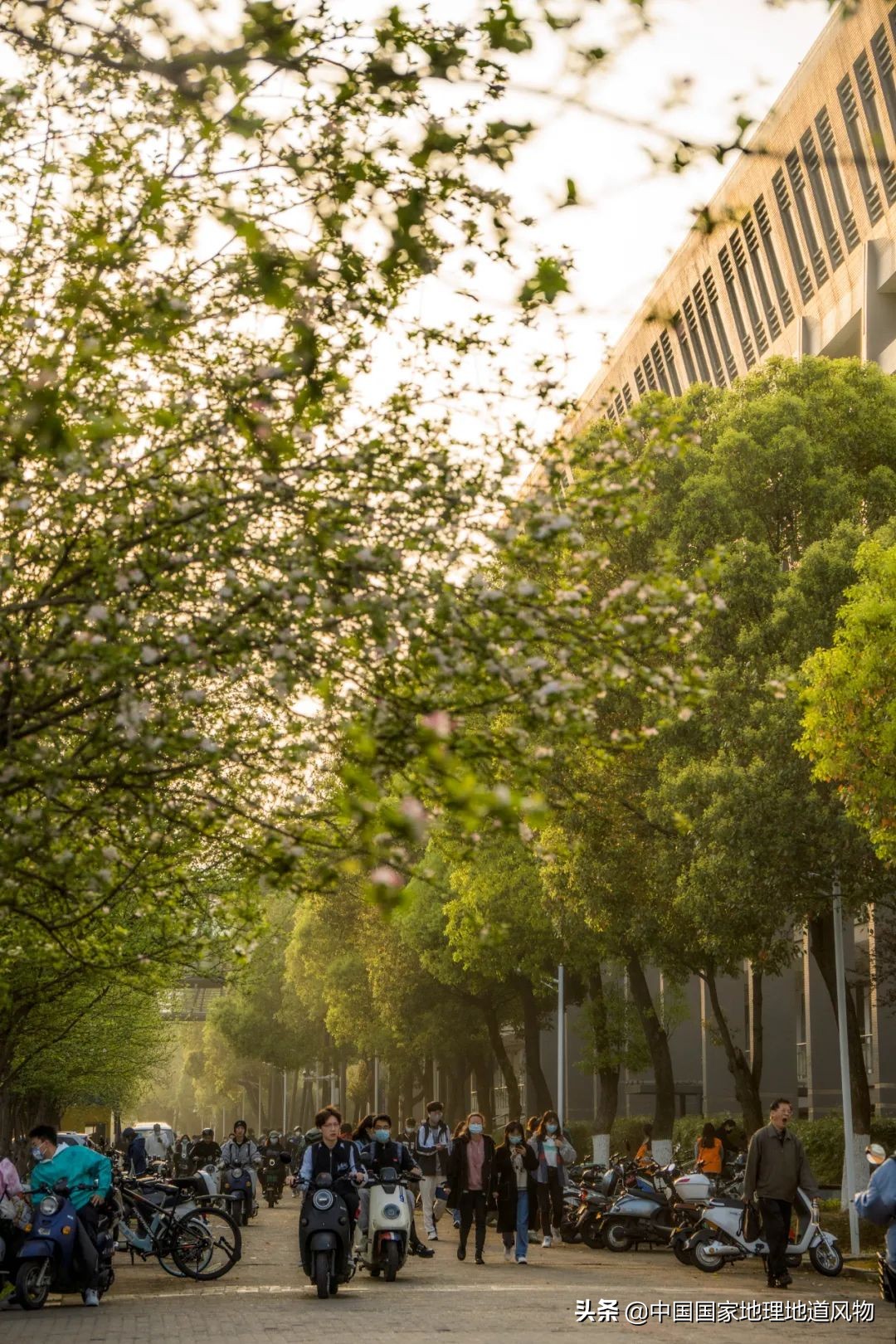 中南财经大学和中南大学法学对比,中南大学哪个系最强