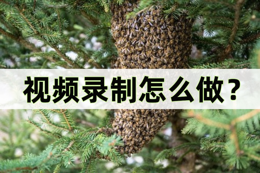 视频怎么做录制框,视频录制怎么高清