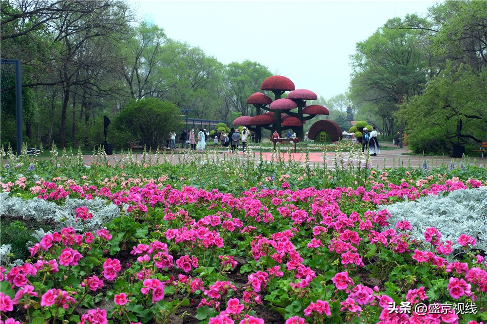 沈阳世博园金秋美景,沈阳世博园一日游详细攻略