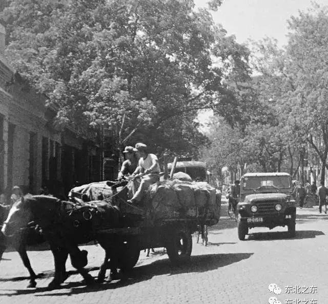 80年代的哈尔滨你还记得吗,哈尔滨70年代视频