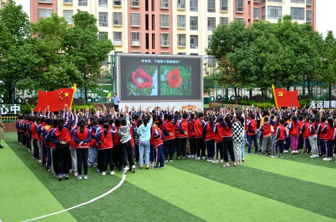 全民禁毒宣传月|圆桌派普法、驻站式宣讲……云南戒毒系统禁毒戒毒法治宣传活动掀起高潮