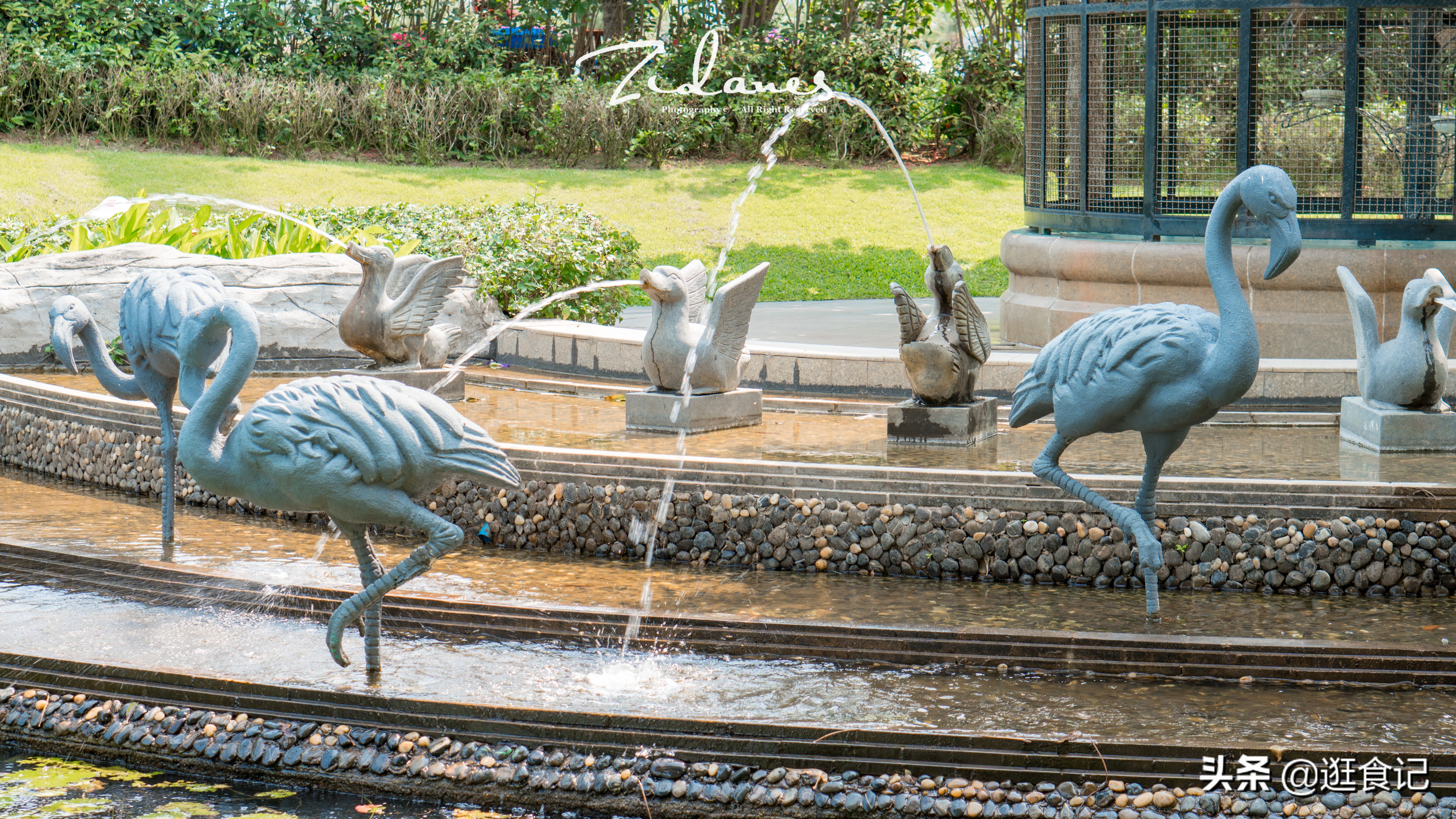 三亚亲子游亚龙湾天域酒店,亚龙湾天域和亚龙湾红树林