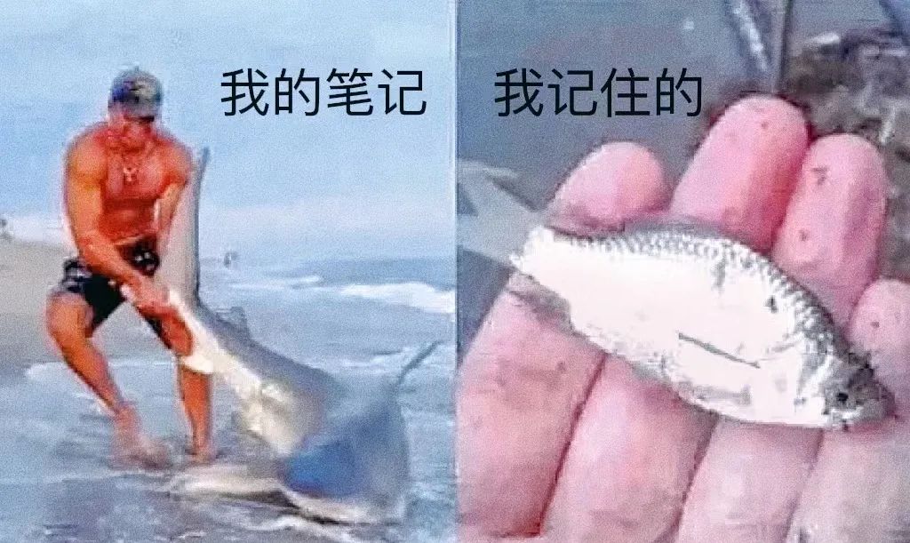 为什么法国大学生爱用笔记本电脑做笔记？键盘和笔，哪个更高效？