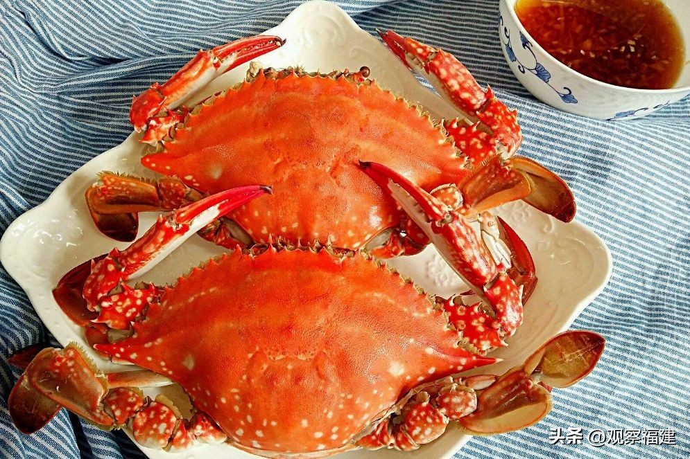 诏安秋天吃什么海鲜,福建各种海鲜图片大全