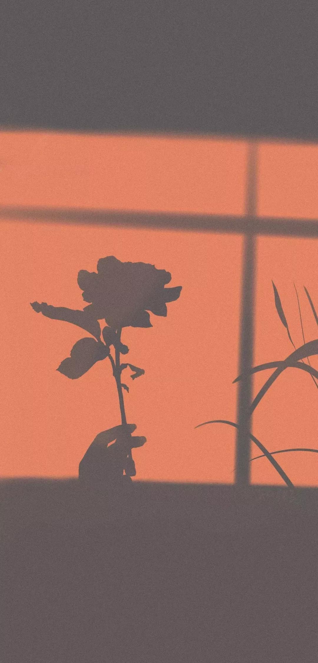 风生水起壁纸高清无水印,美女全屏无水印高清壁纸