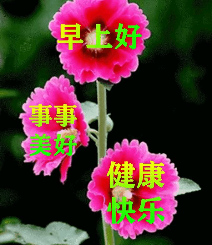 庚子日柱2023年癸卯年运势,癸卯年2023年哪个月出生最好