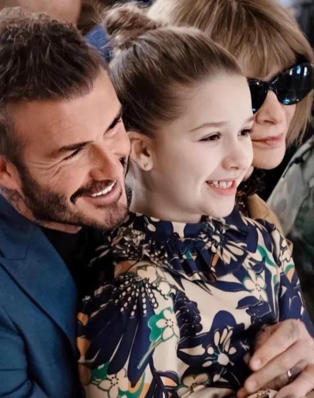 贝小七年轻时的照片,贝小七年轻时照片