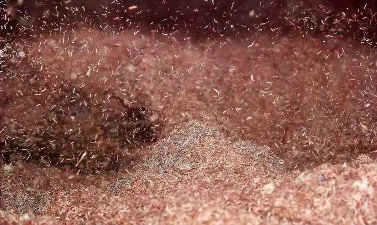 破损人民币银行回收,破损的人民币最终去哪里了