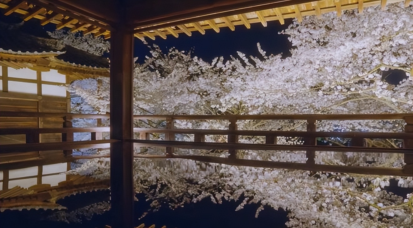 2023日本樱花观赏时间表,日本樱花什么时候观赏最好