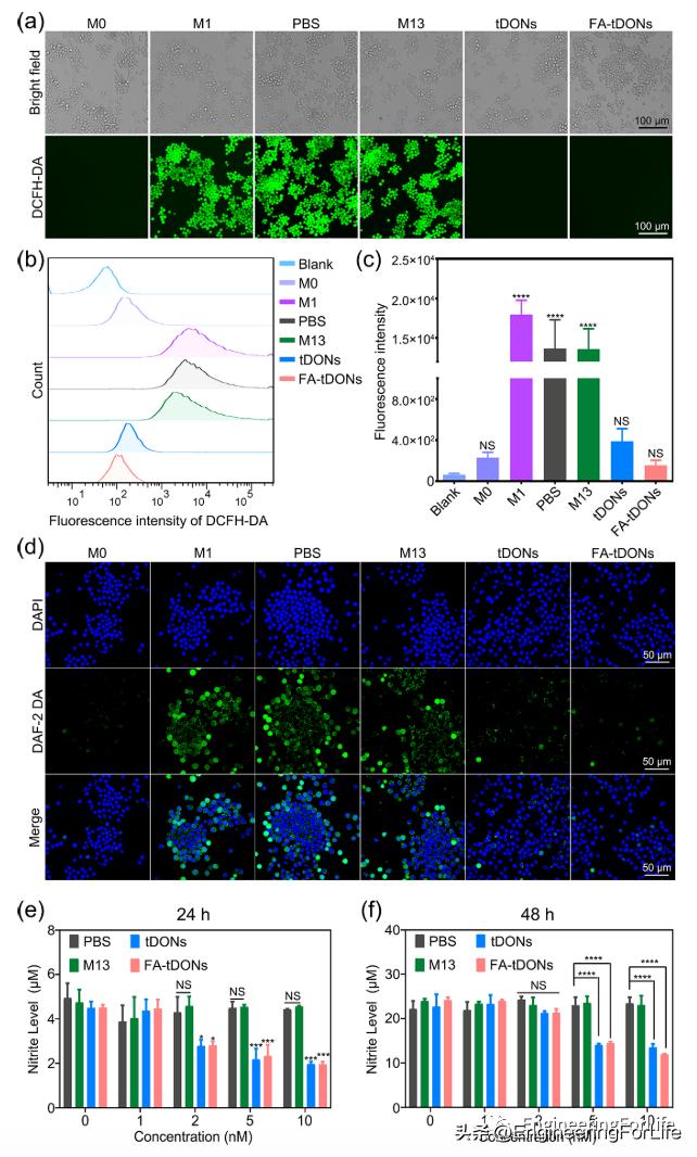 DNA也能清除炎症？类风湿性关节炎中的DNA折纸结构的靶向递送策略
