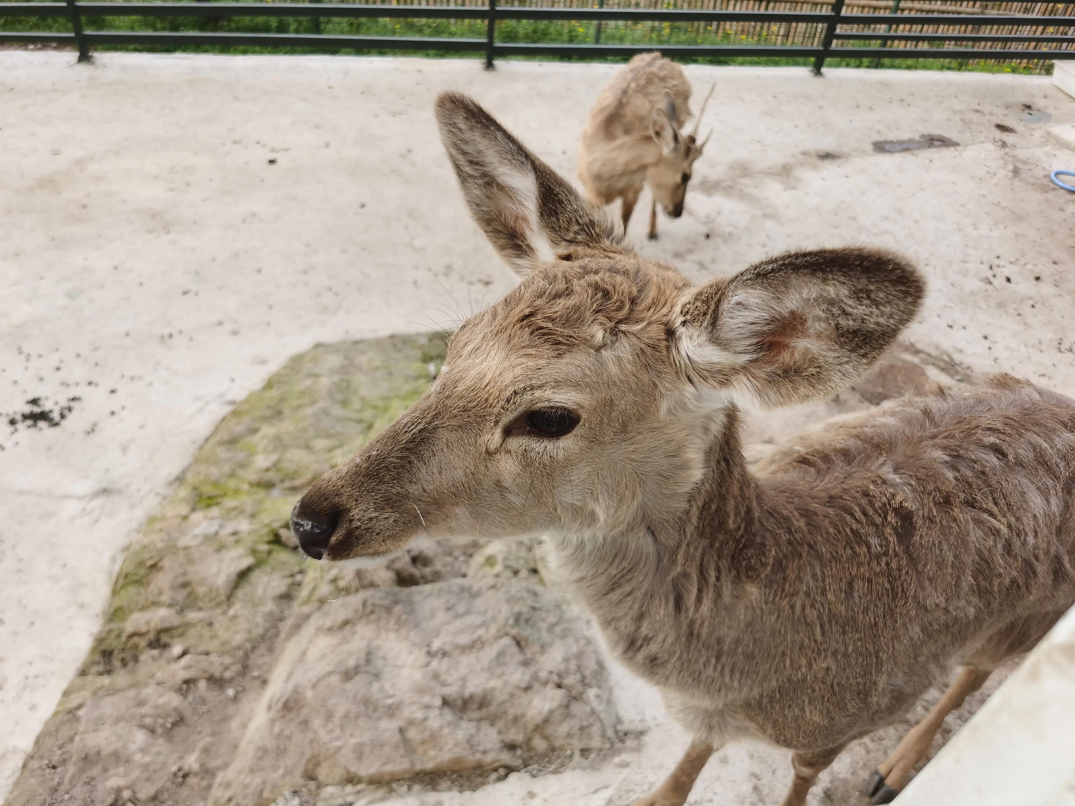 杭迪会·超级奶爸训练营——带娃出去春游啦