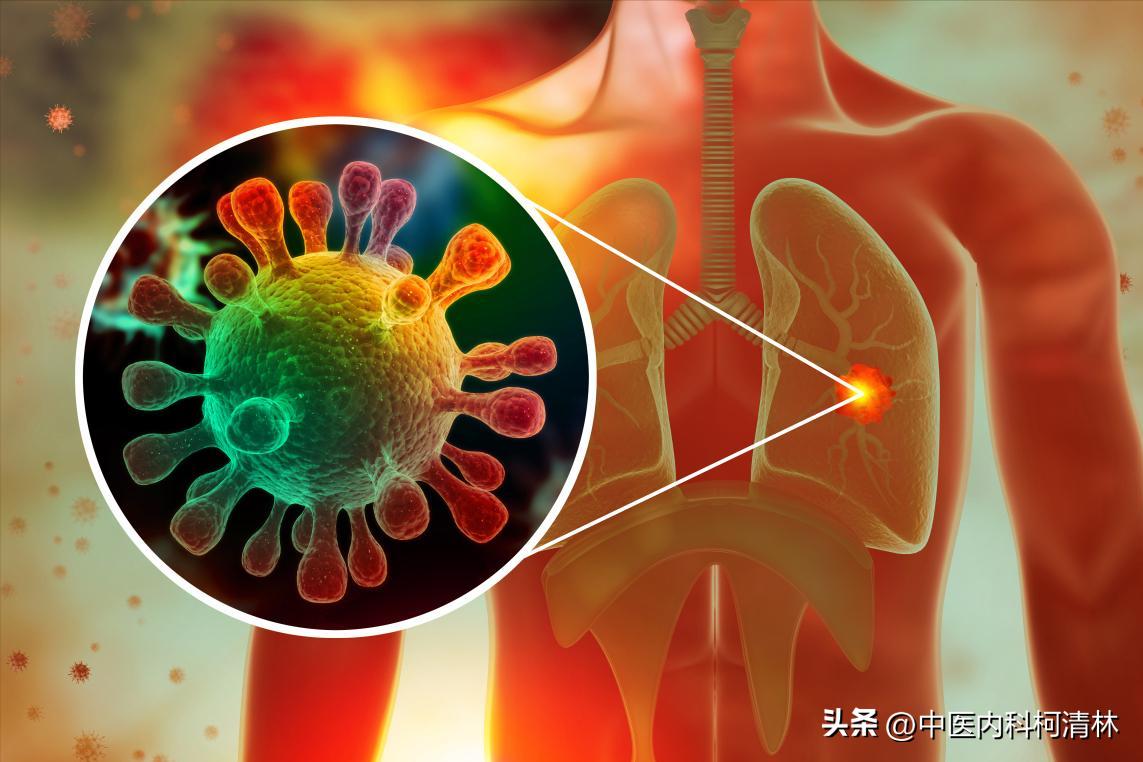 有肺病就喝蒲公英泡水？间质性肺炎也能吃蒲公英？