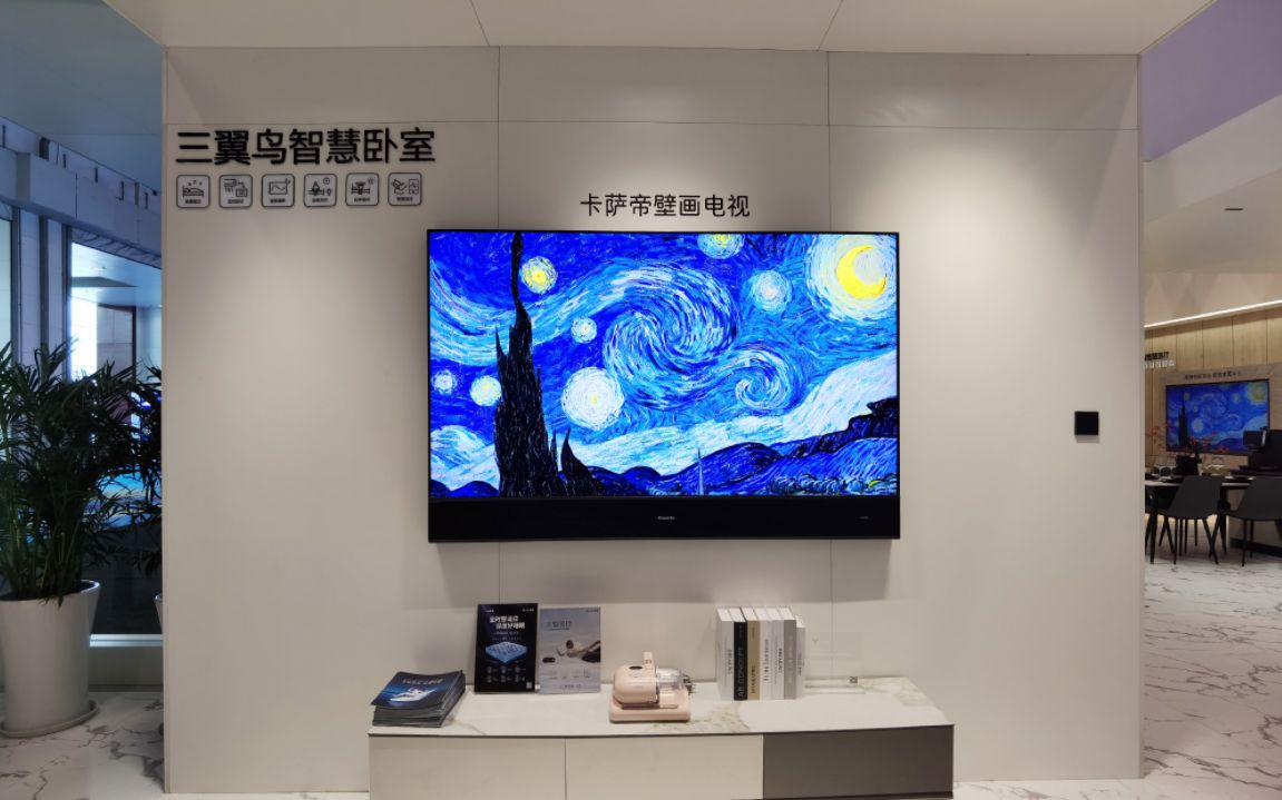 卡萨帝壁画电视价格,卡萨帝壁画电视m160屏幕是哪的