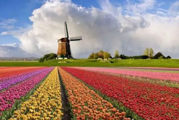 足球世界杯荷兰无冕之王,世界杯无冕之王荷兰