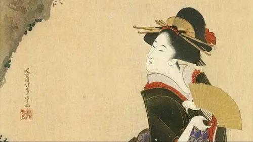 日本的幕府政治制度模式,日本幕府统治危机原因