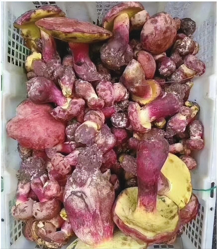 玩转情感软件赚差价,情感树洞赚钱