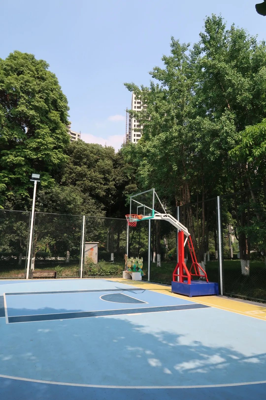 收藏乒乓球推荐,收藏价值高羽毛球拍