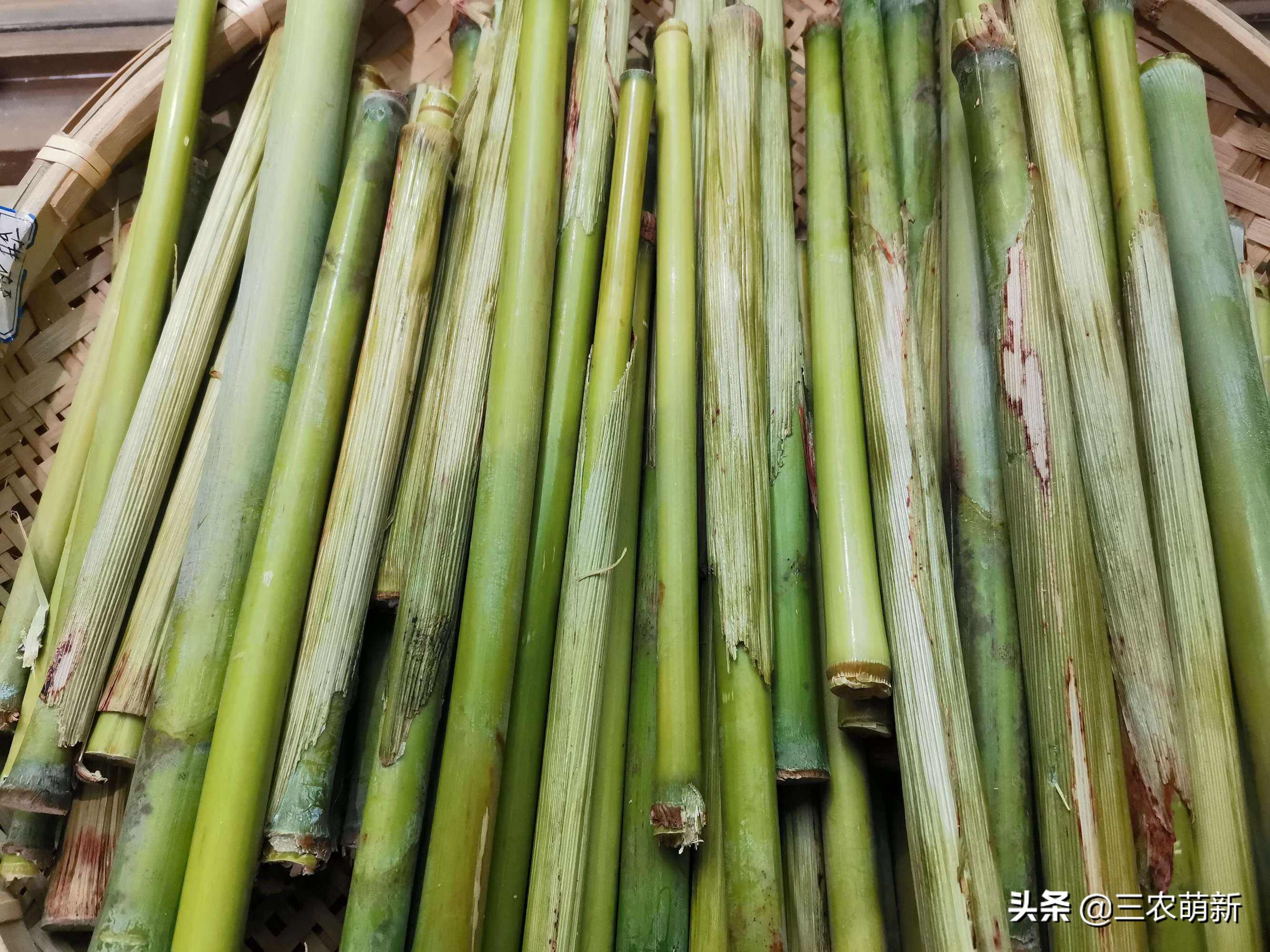 十大消失的水果,被遗忘的水果有哪些