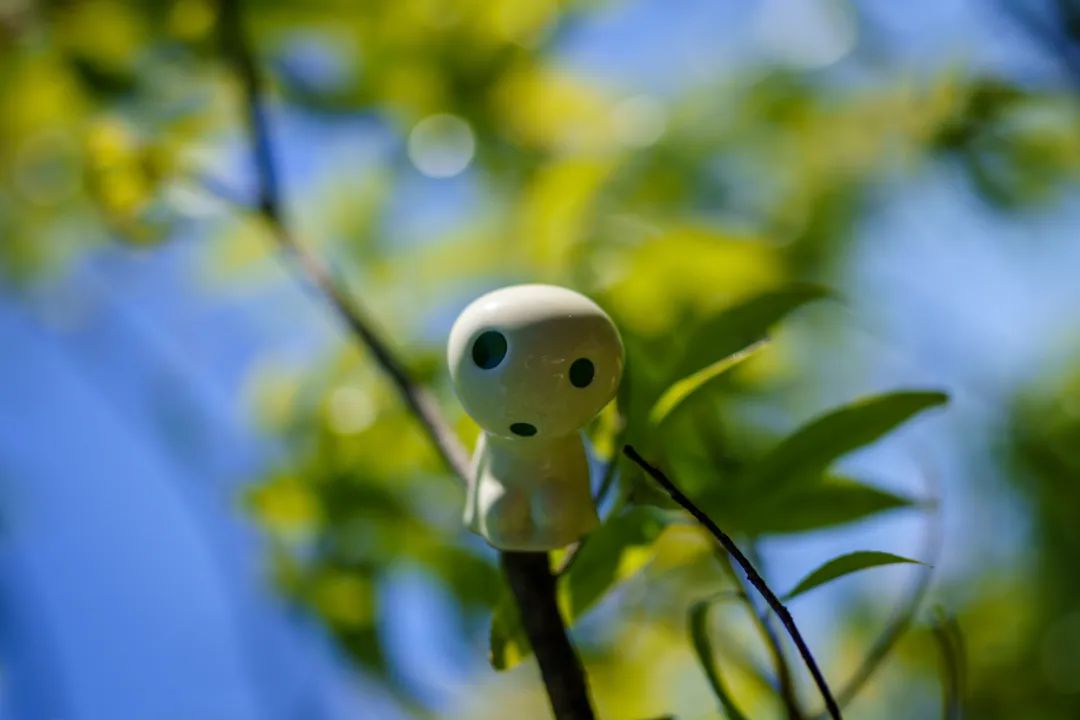 宫崎骏退休发布会,82岁宫崎骏退休之作定档