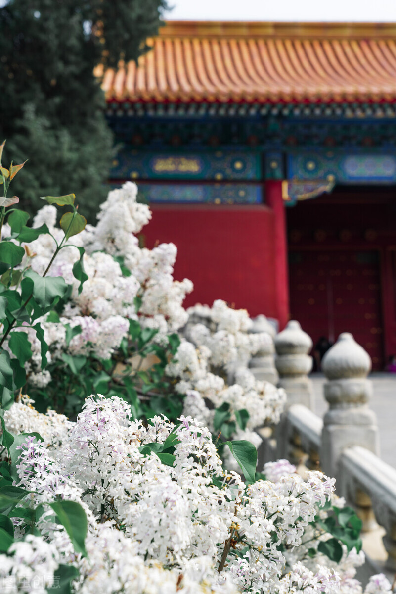 十六首诗词中的更漏，用法百变，是婉约诗词中的最佳道具