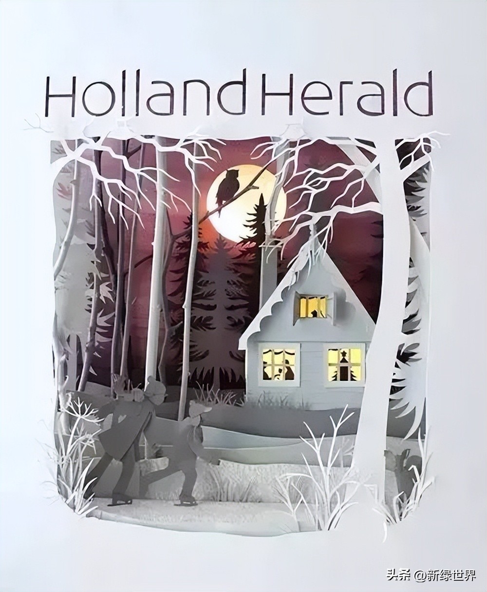 纸艺作品绘画,千变万化的纸艺术作品