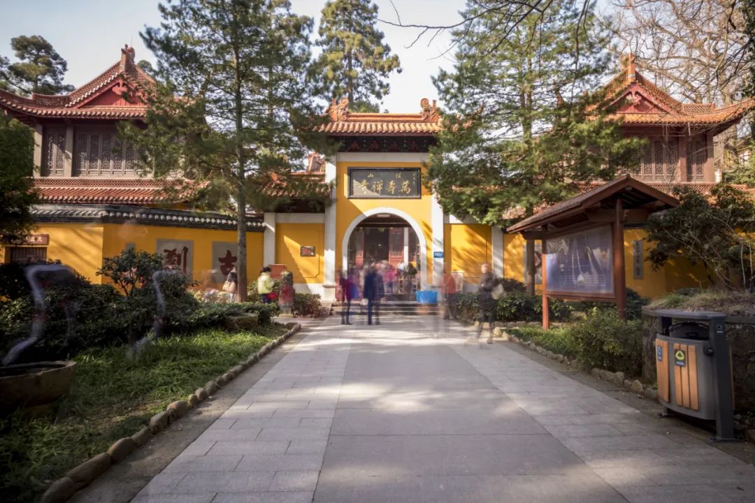 绿茶种类大全介绍,高档龙井绿茶有哪些种类