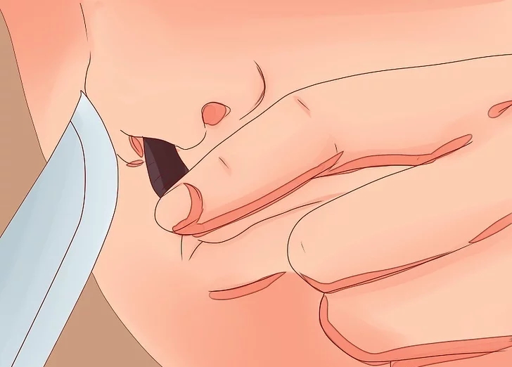 水蛭能吃铁线虫吗,水蛭可以吃蜗牛吗