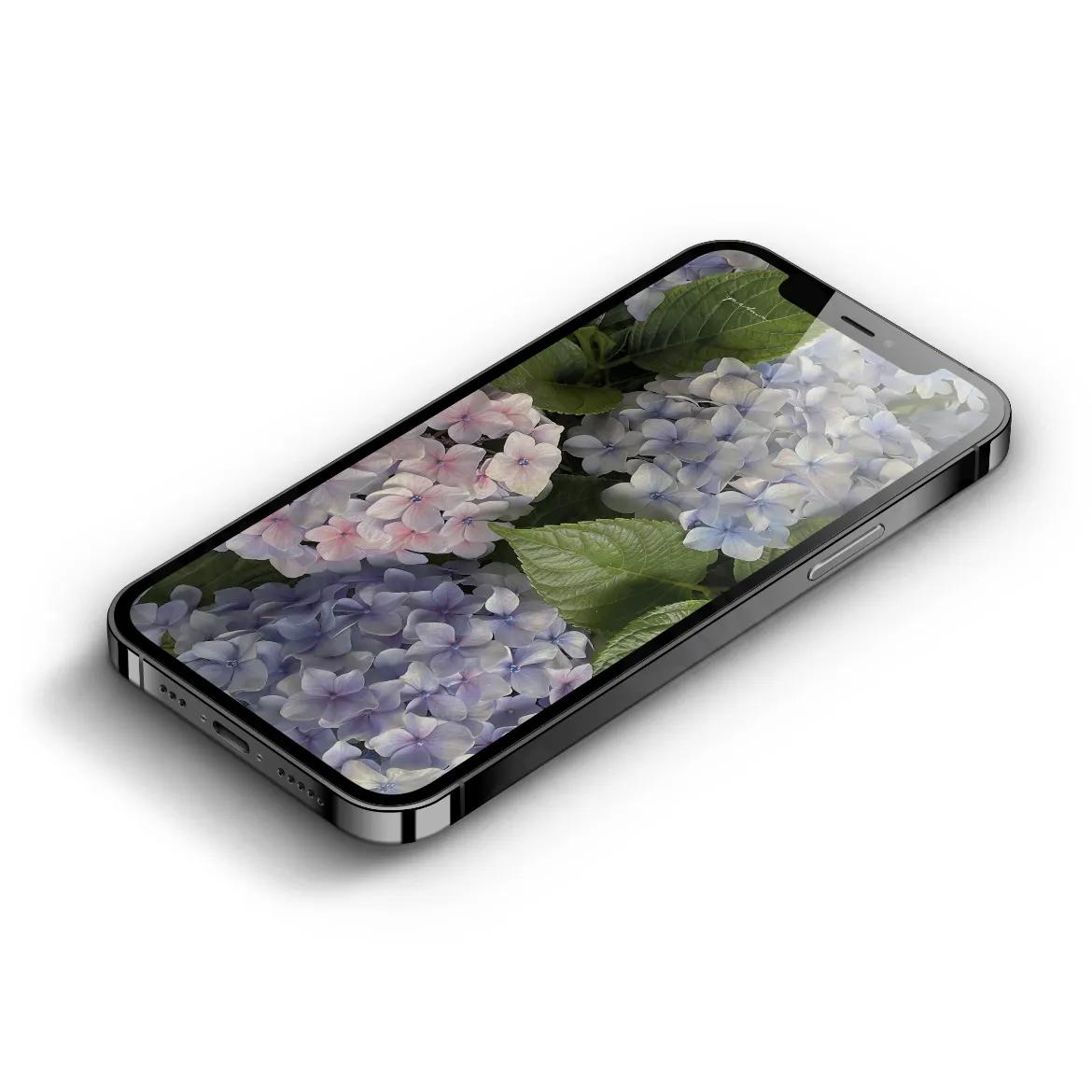 各种好看的手机壁纸,看上去比较好看的手机壁纸