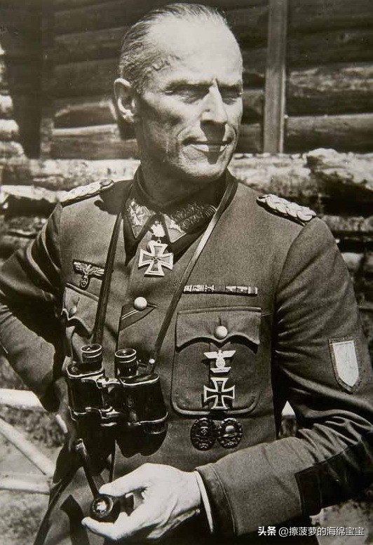 霍尔姆盾章二战德国,二战德国军奖章