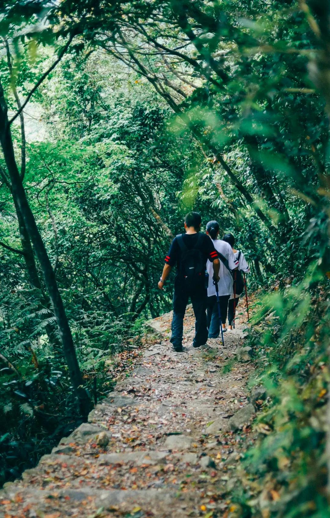 深圳最值得爬的景点,深圳十大最值得爬的山