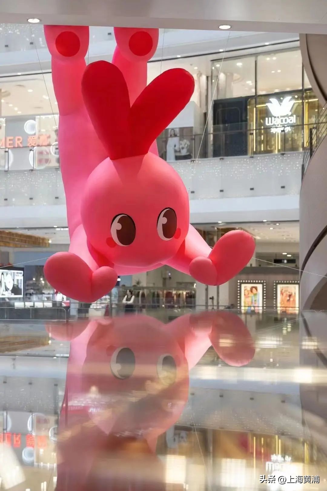 新春如何兔出重围？黄浦商业看这篇就够了