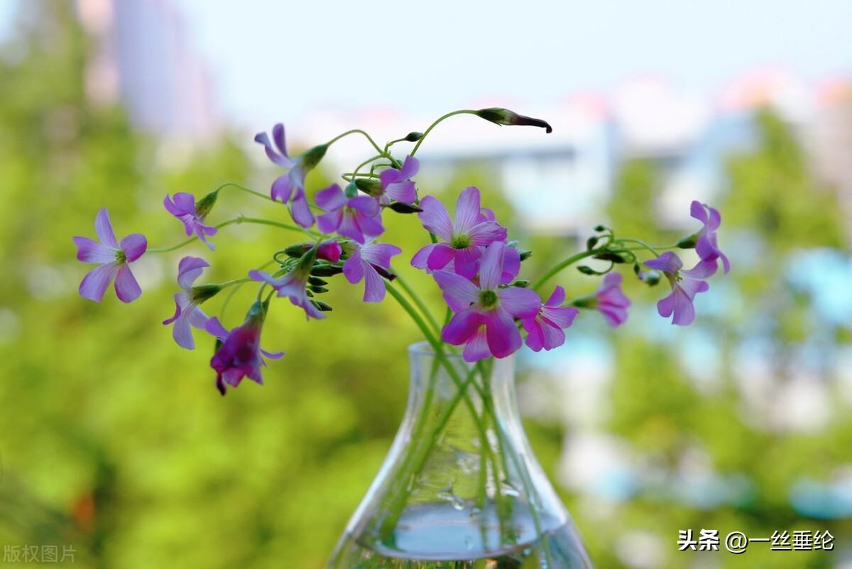 58岁阿姨谈搭伙过日子,65岁阿姨坦言搭伙过日子八年