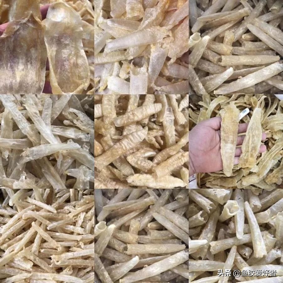 买哪种鱼胶值得收藏,不建议入手的鱼胶