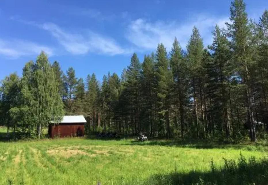 欧洲小国为什么那么富有,世界十大工业强国瑞典