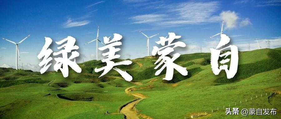 蒙自石榴在云南非常出名,有一种生活叫云南开远