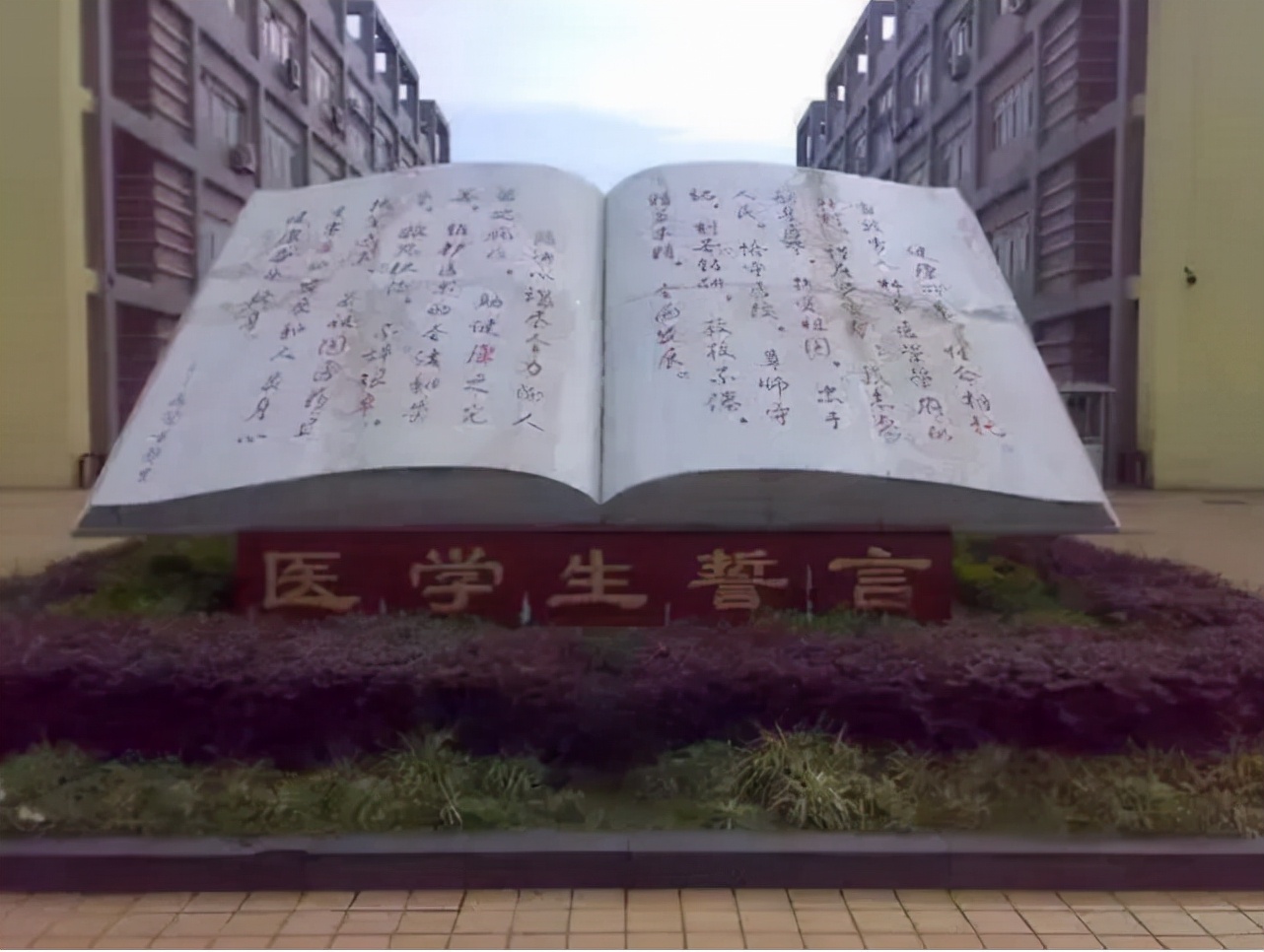 男子为救老太压断12根肋骨第二集,男子抢救老太压断12根肋骨被起诉