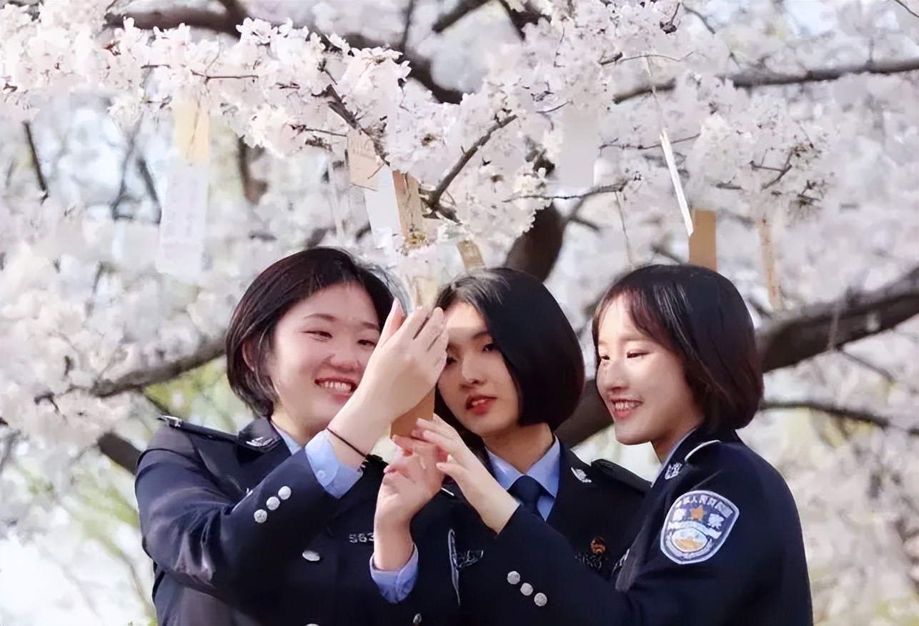 警察怎么区分行政编和事业编,事业编警察好还是教师好