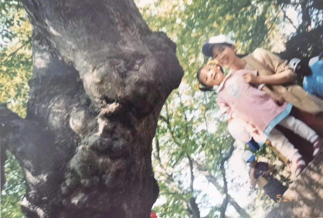 理科状元进清华玩游戏,为什么玩游戏也能考清华北大