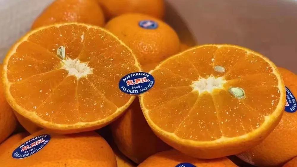 开水果店的水果都是从哪里进货的,黄山水果店水果哪里进货