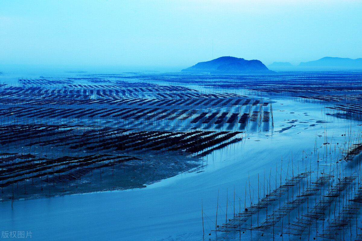 霞浦诗联作品第90辑,霞浦诗联林霞近期作品