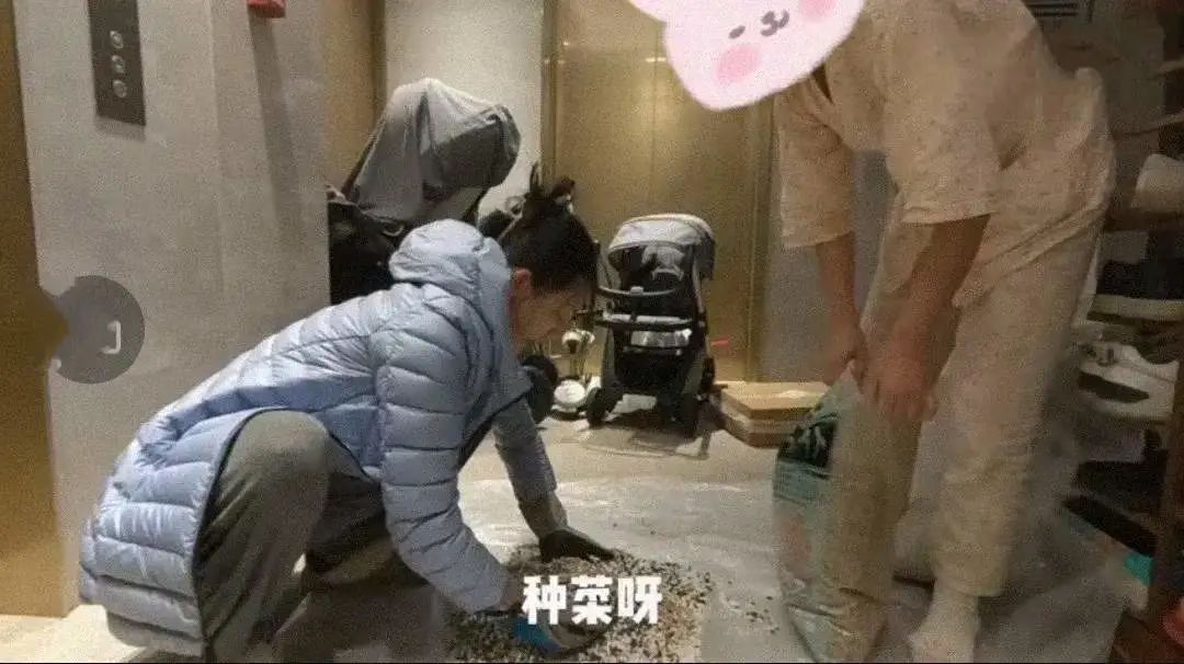 林思意深夜救待产孕妇官方视频,林思意深夜救待产孕妇视频