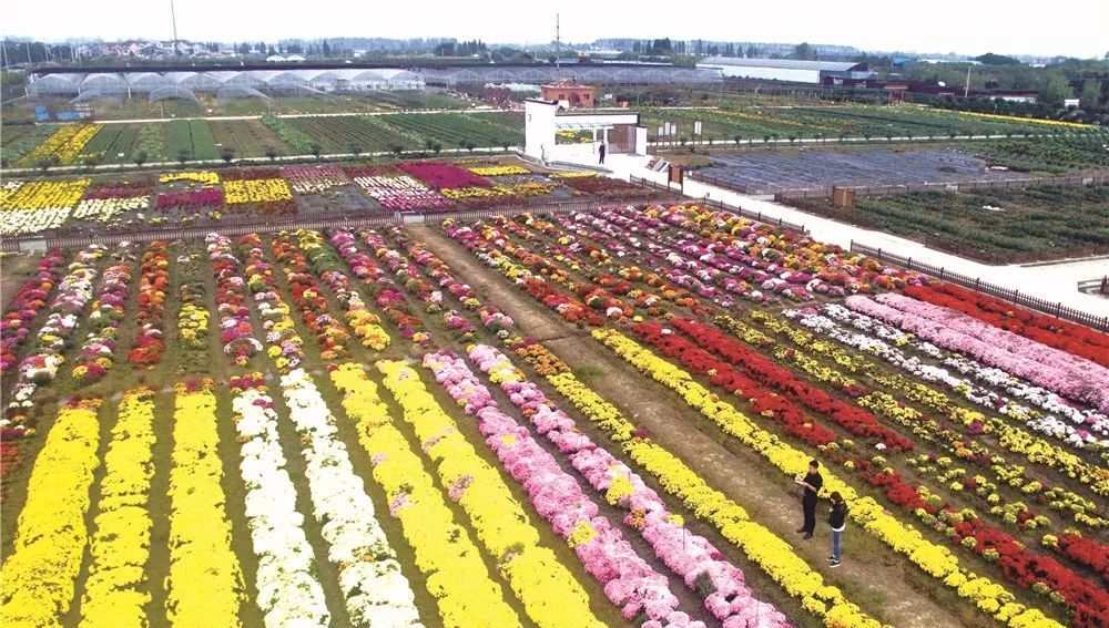 2023年农村创业趋势,农村创业新趋势