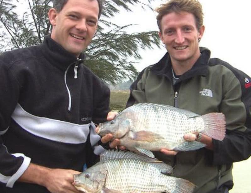 臭水沟中的罗非鱼为啥不能吃,臭水沟里的罗非鱼可以养可以吃吗