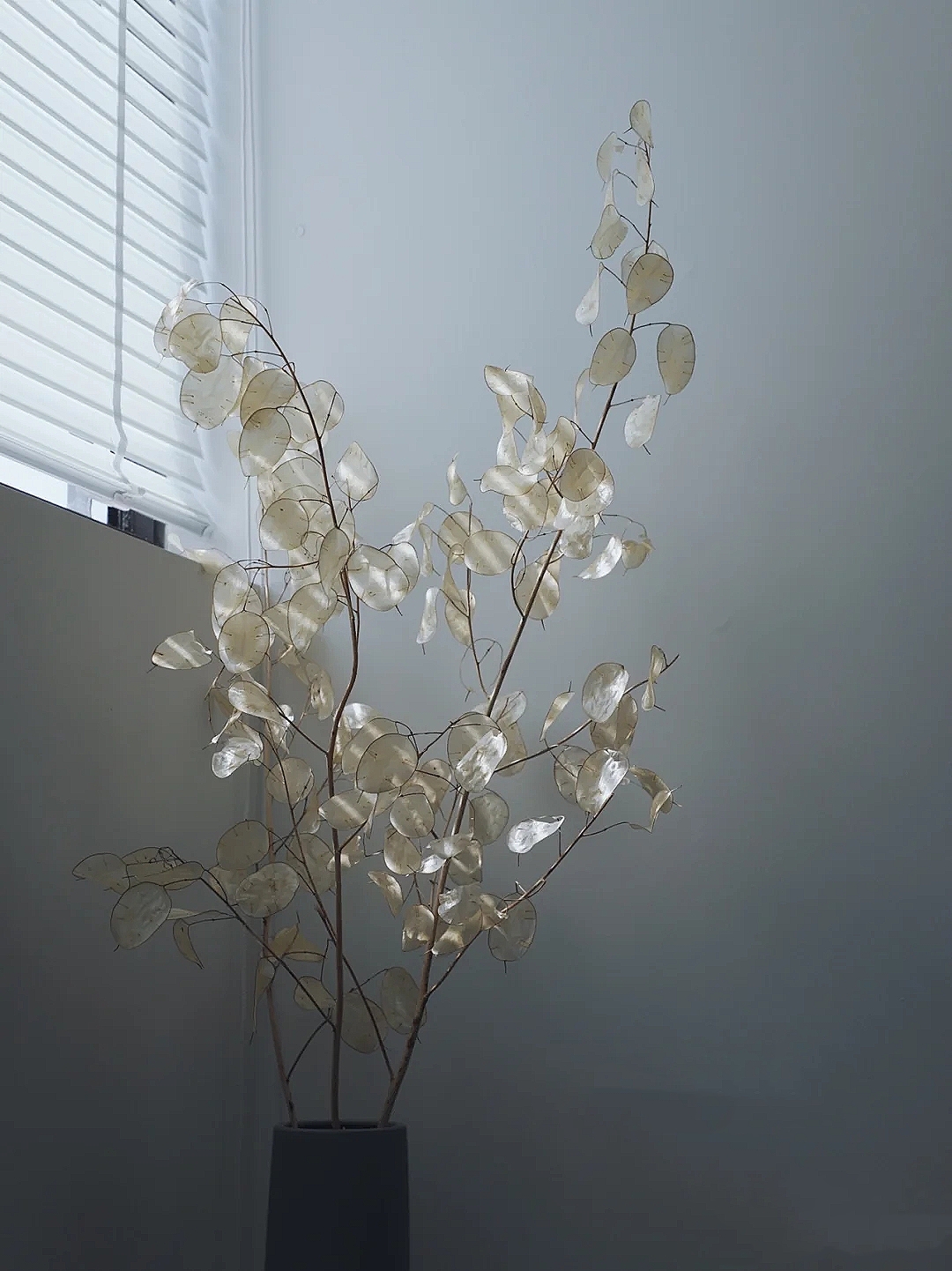 花艺教程花材打理知识,花艺教程常用花材及叶材有哪些