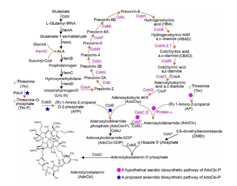 番茄果色偏黄怎么回事,番茄果实色泽评价