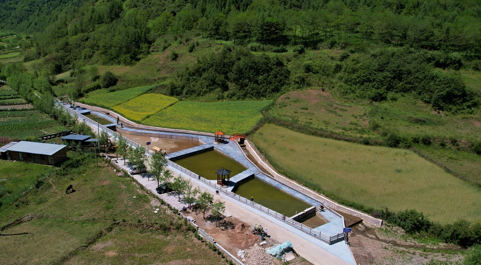 武山县杨河镇和美乡村展新颜,杨家山美丽乡村建设