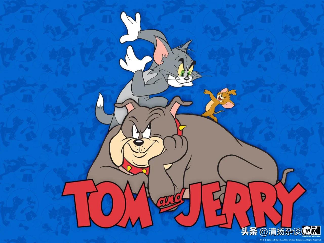 中华田园猫的品种介绍和图片大全,中华田园猫的眼睛是什么颜色的