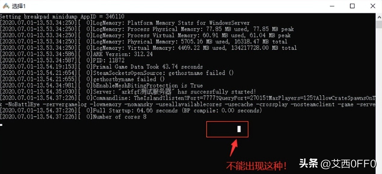 方舟开服工具使用教程,方舟生存进化国际服服务器