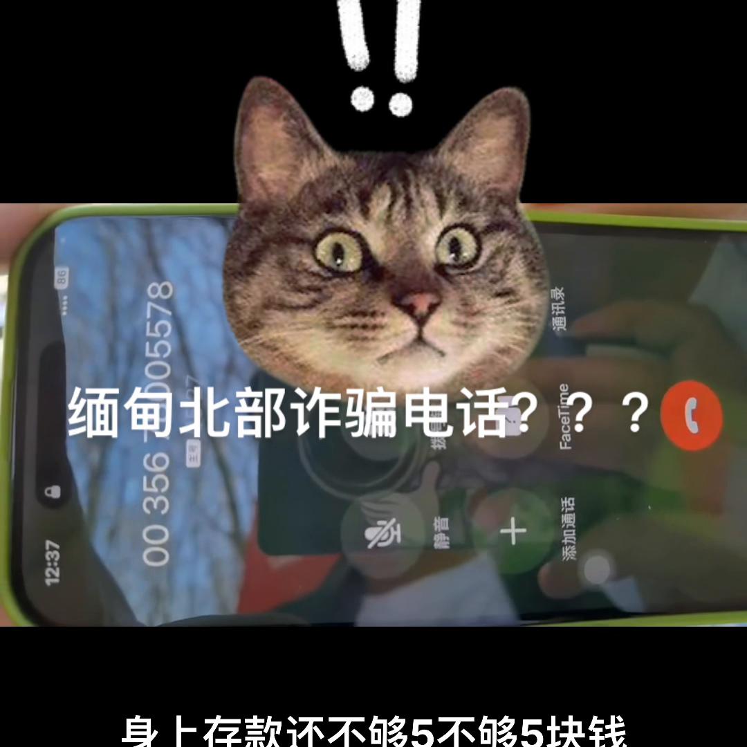 电信诈骗小姐姐视频,小姐姐第一次遇到网络诈骗