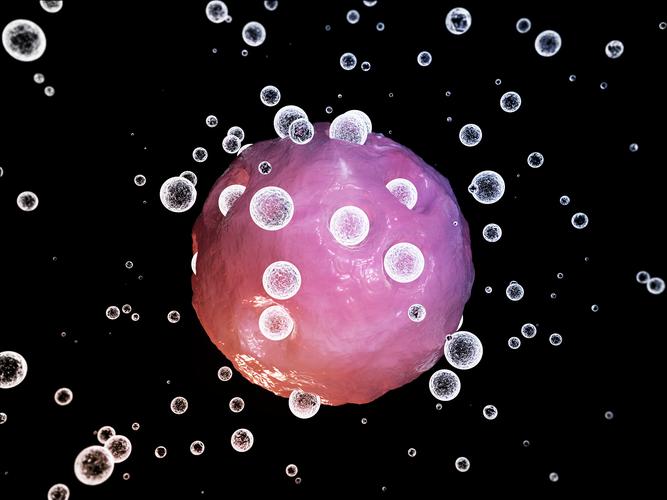 搭建创新平台助力企业高质量发展,搭建科技创新平台引领高质量发展